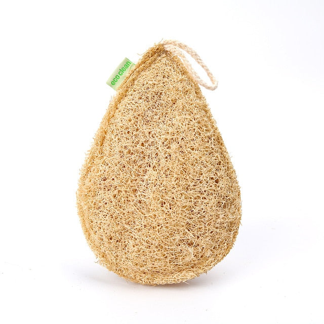 Loofah è la spugna vegetale che fa tutto!