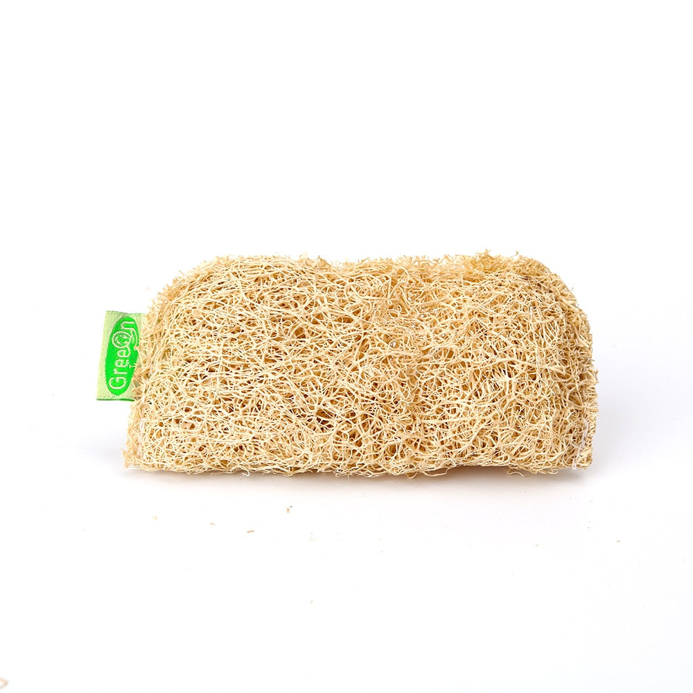 Loofah is the vegetable sponge that does everything!