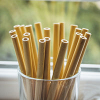 Pailles en bambou, 10pièces + une brossette de nettoyage